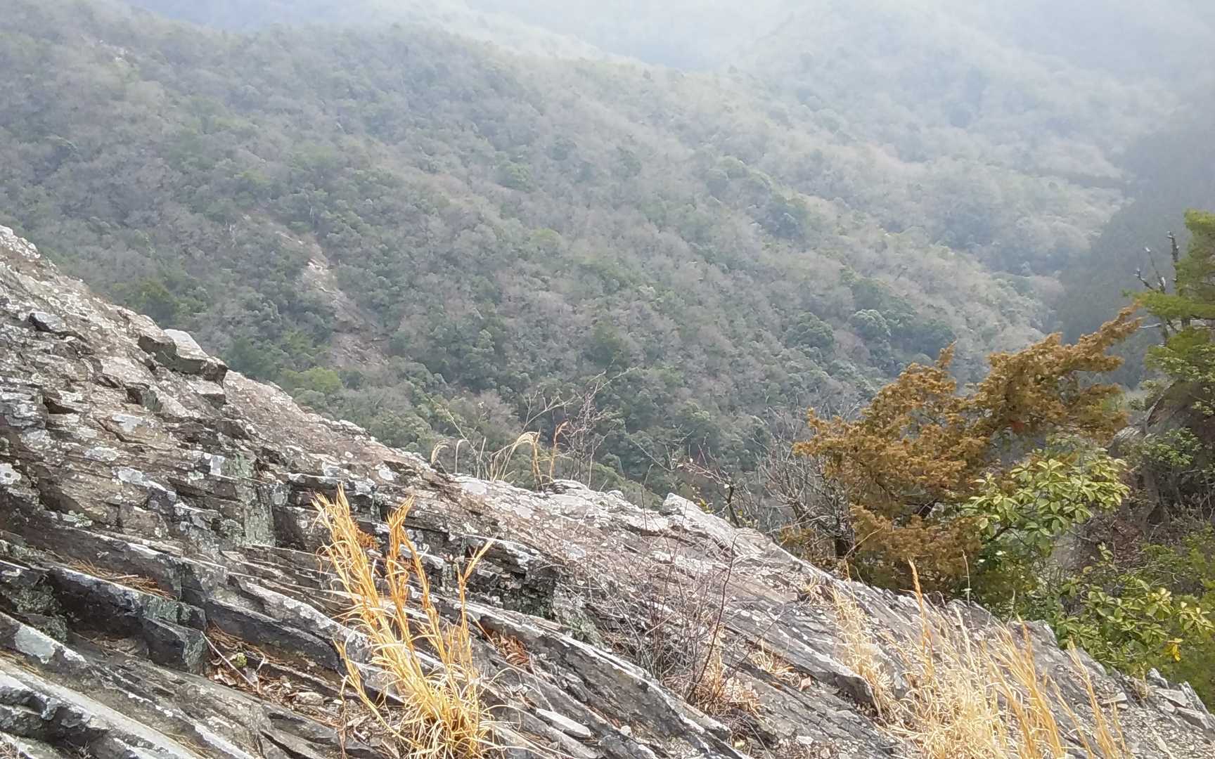 でも足すくむ😅