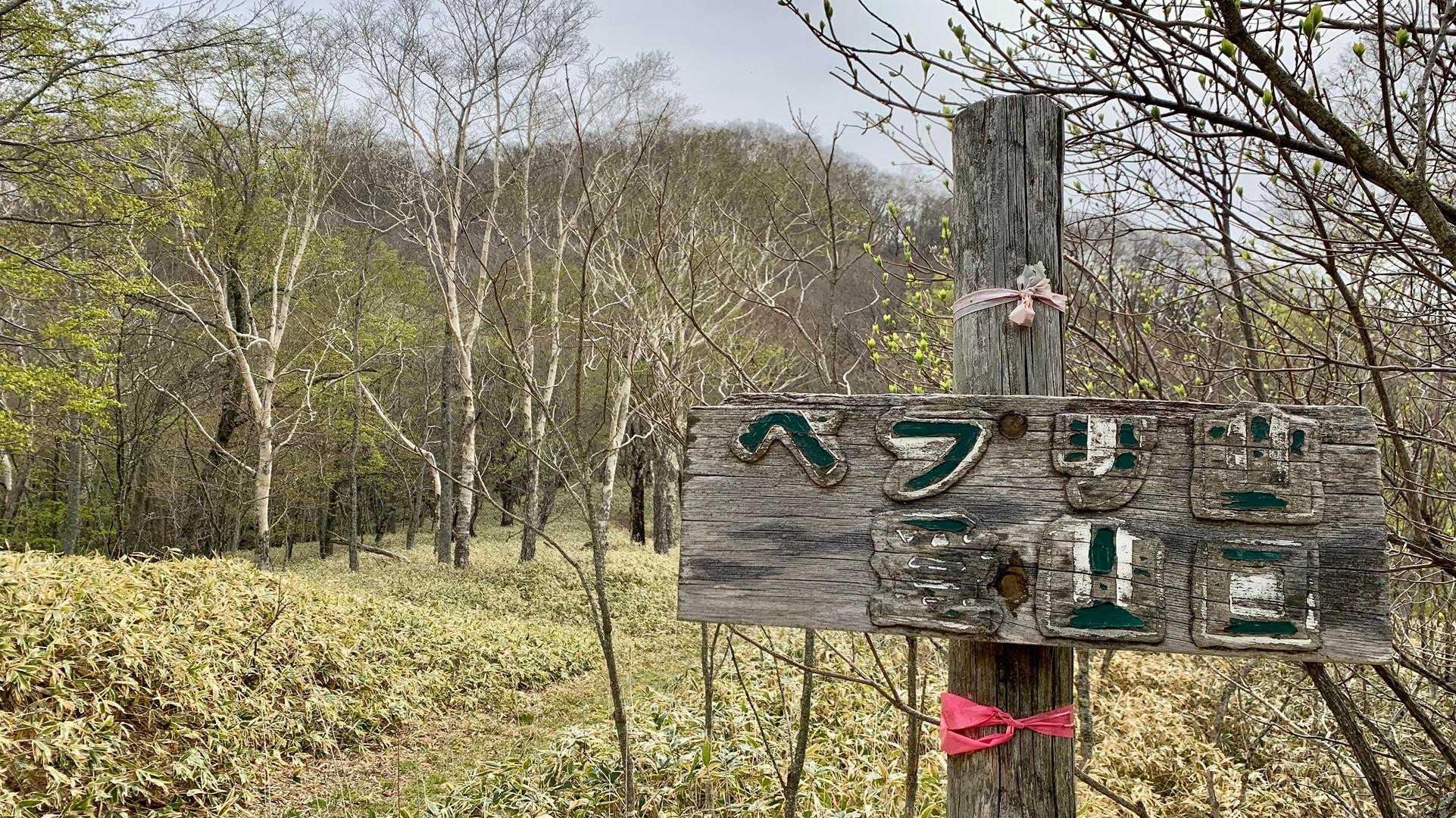 ヘフリ山？登山口です。
さっきの車はここまで来たのかな？