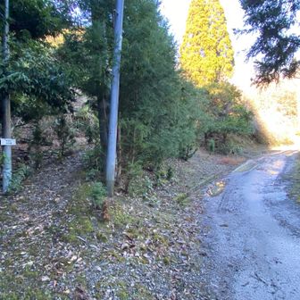 嵯峨山登山口まで降りてきた
ここからは駐車場まで保田見林道を焼く