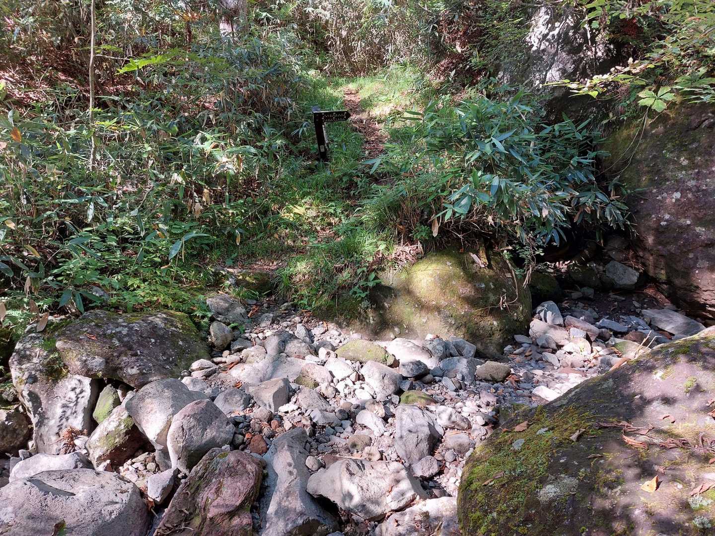 渡渉の水は流れていません。