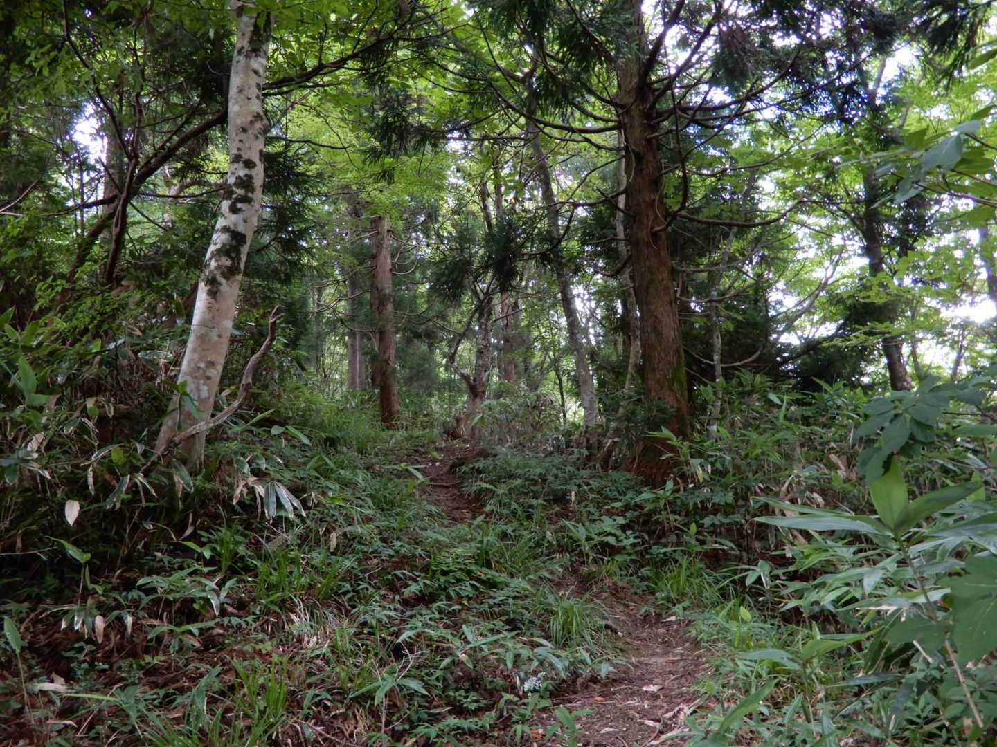 登り返す