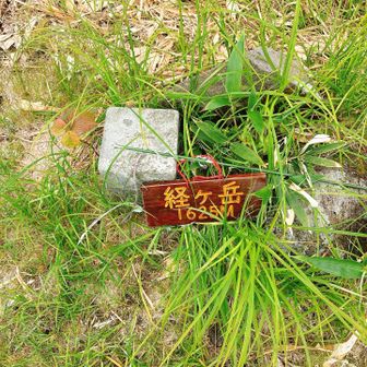 更に北岳まで行こうかどうかと一瞬考えたが、ガスってて眺望ないのに北岳まで行っても「北岳に来ただけ」になるので止めとこ。というか、ずっとガスだったので、今日は経ヶ岳へ登っただけ。