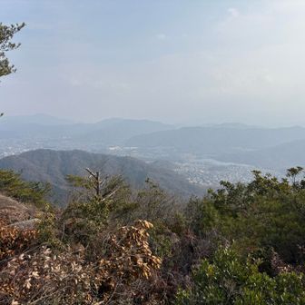 ここでお二人に会っただけでした🚶‍♂️