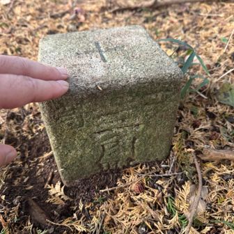 表山山頂⛰️ 三角点👍