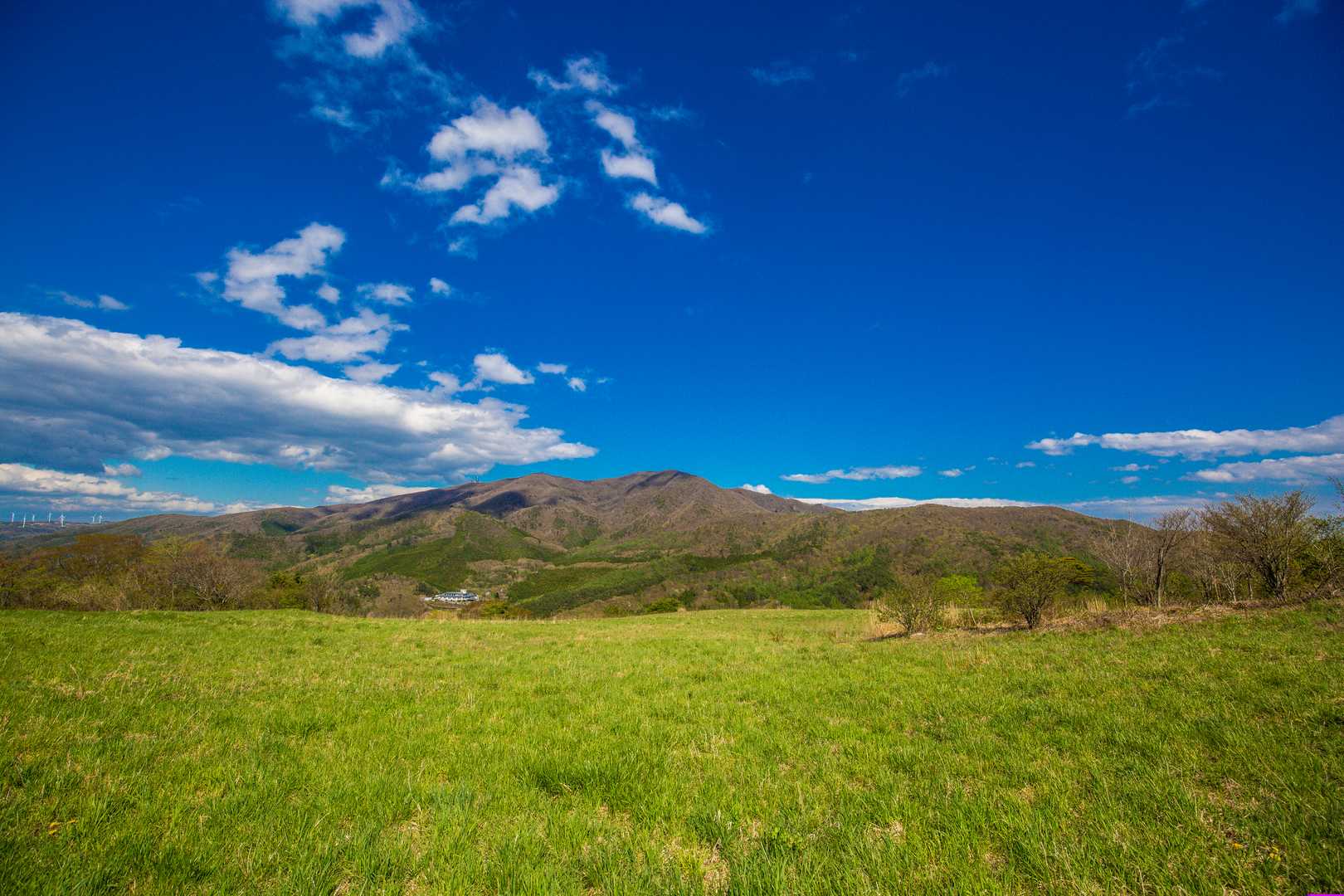 大滝根山の写真