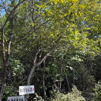 加治田城跡目指します🚶