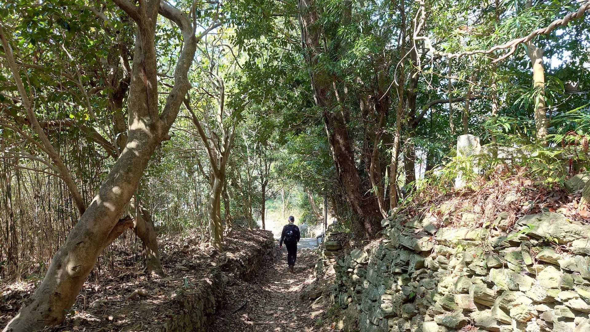 名草山 往復コースの写真