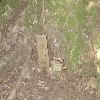 小さな山頂標識