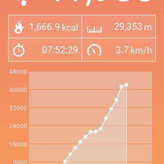 今日の歩数は、41933歩　頑張りました💪