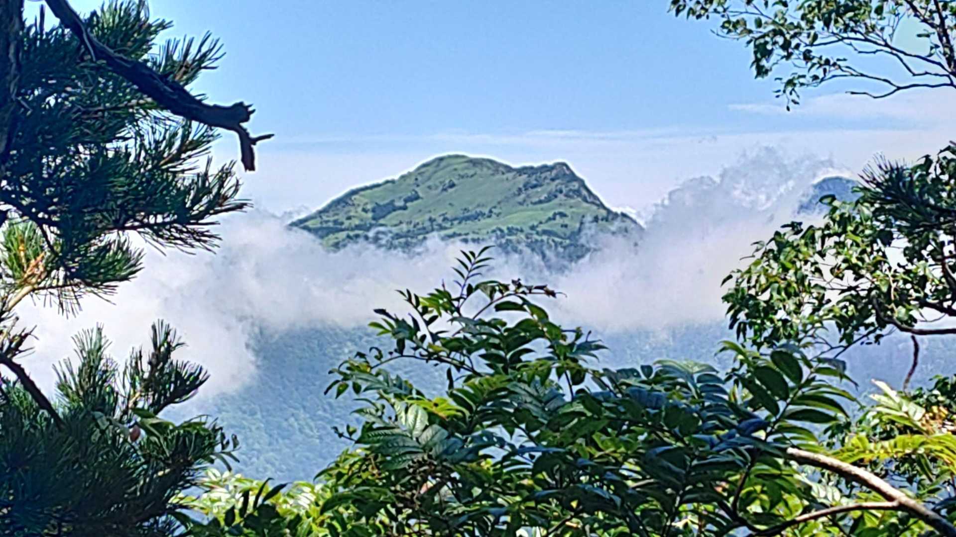 下山途中で出た〜瓶ヶ森😆