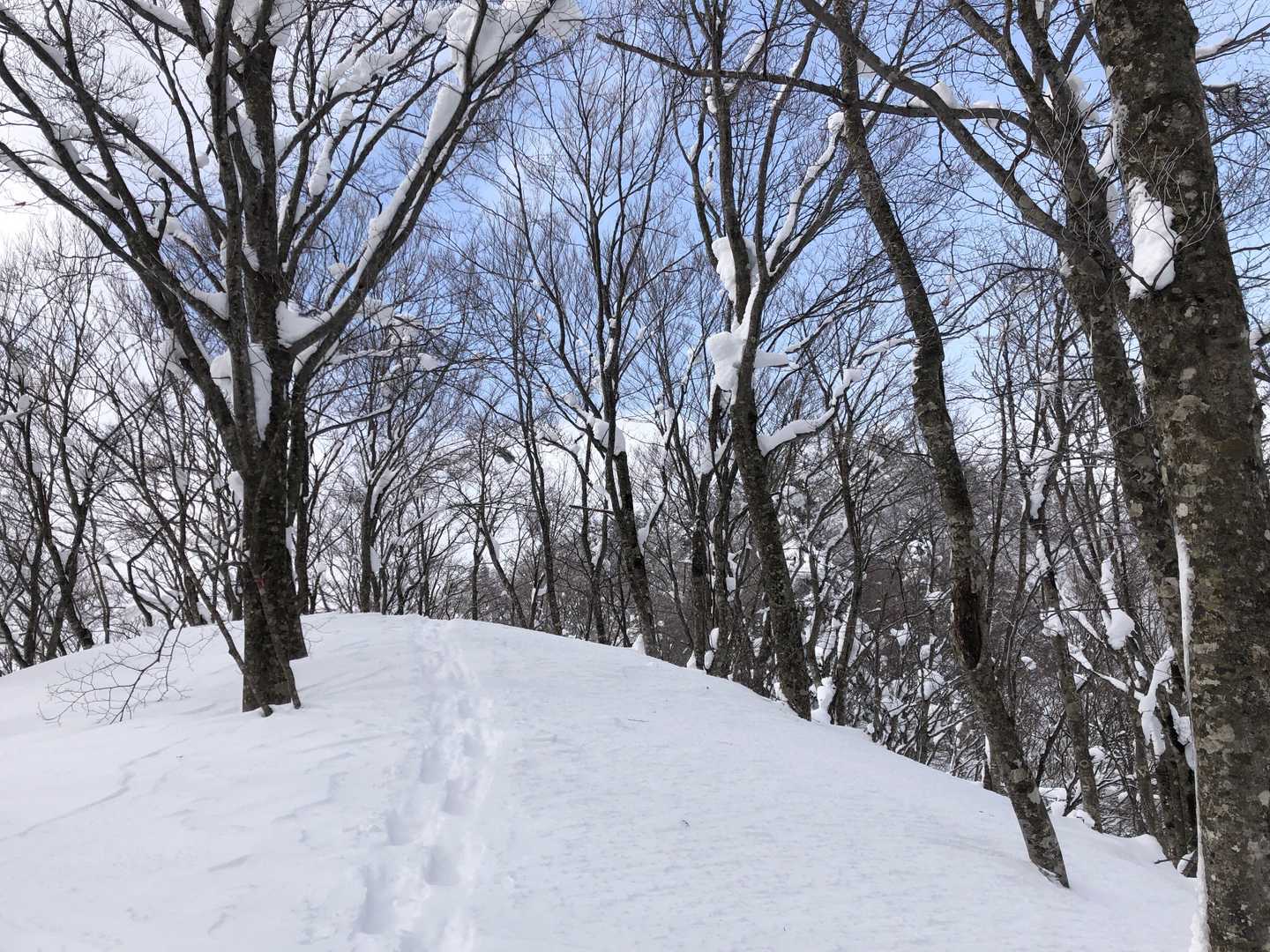 大平口-白鷹山 往復コースの写真