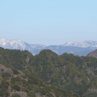 ココだけ景色が良かった