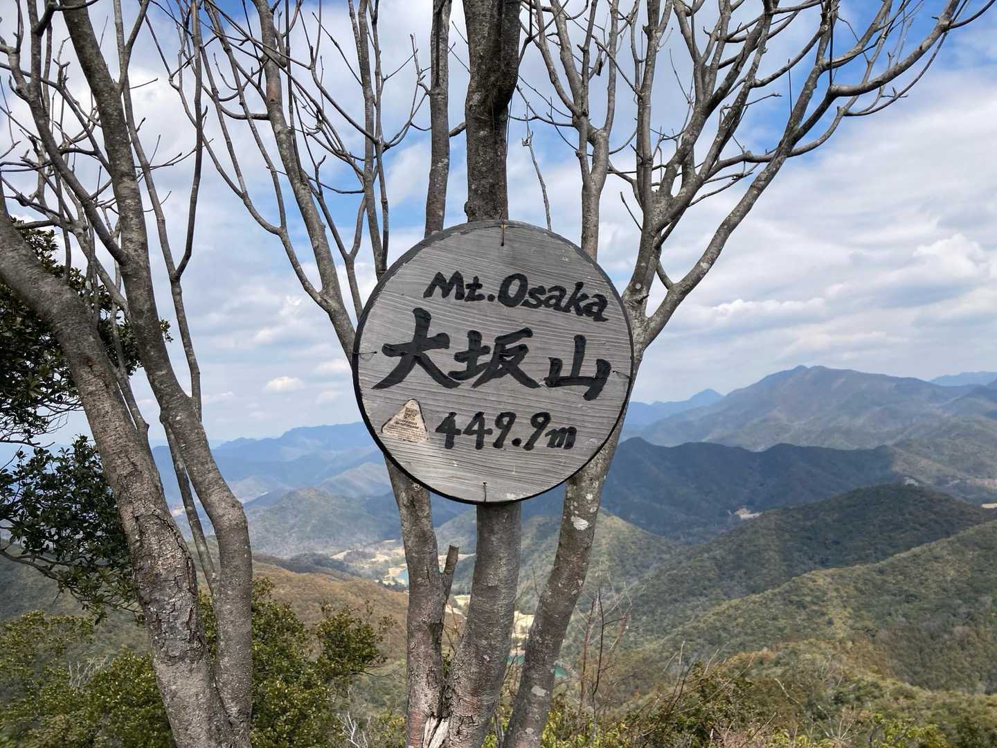 山口登山口-大坂山取付き-P186-P320-大坂山-背山 周回コースの写真