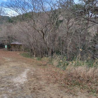東屋がある方に進めば