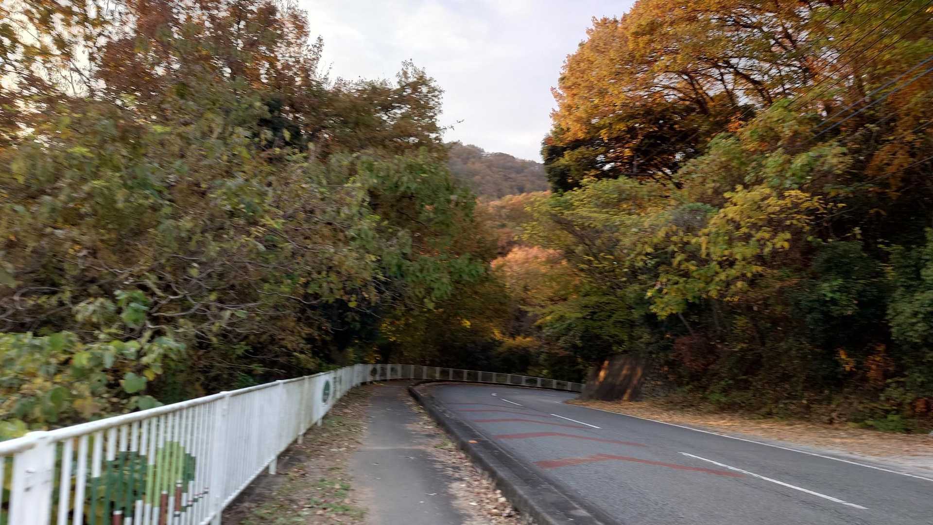 車道を駐車場まで戻ります
ノープラン行き当たりばったりの割には
そこそこ充実した歩きとなりました😁

近くに数々の史跡があることを
改めて知りましたので
次回は違うアプローチで再訪したいと思いました😊
