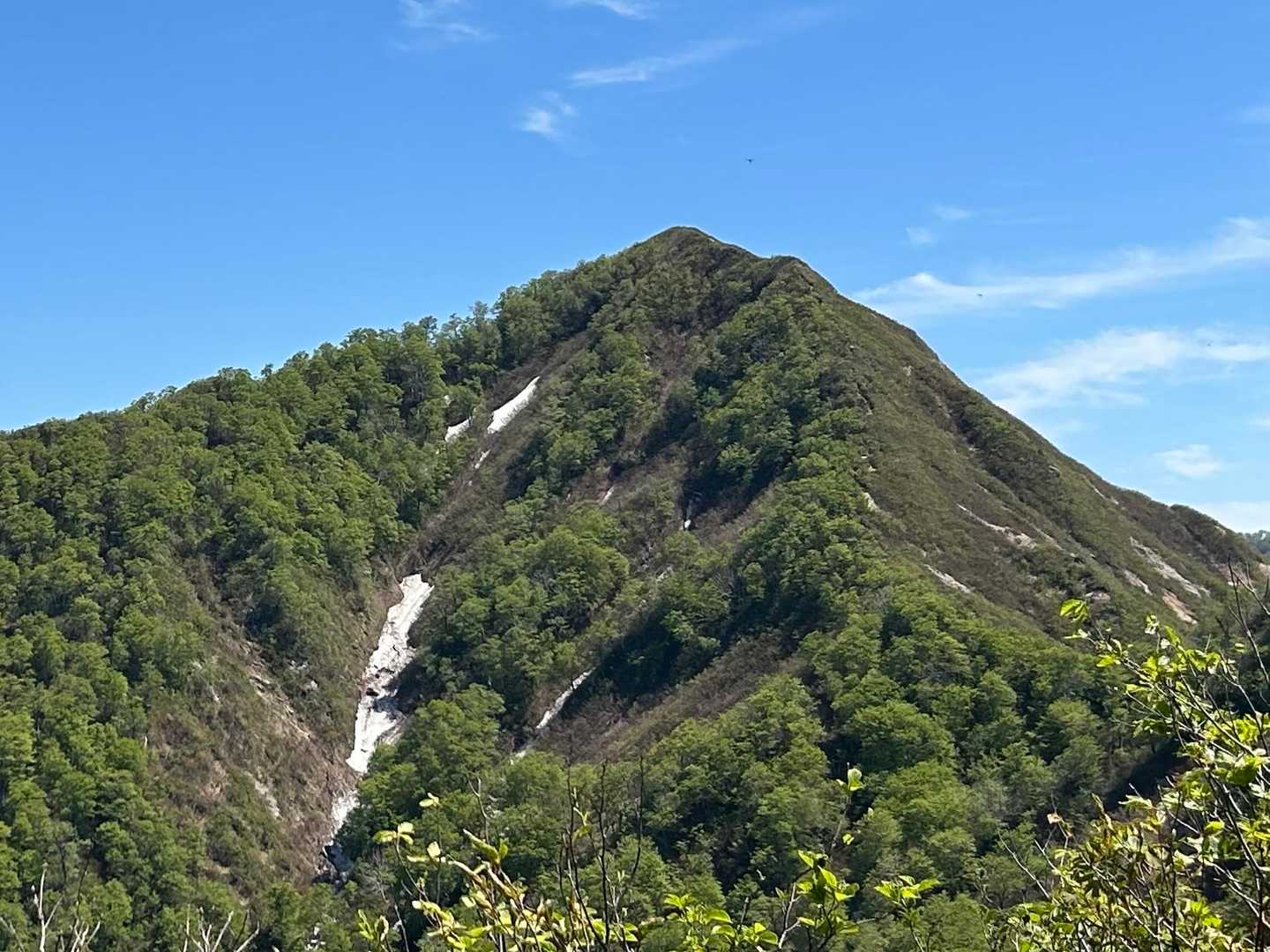 今から向かう光兎山
急登の本丸が始まります