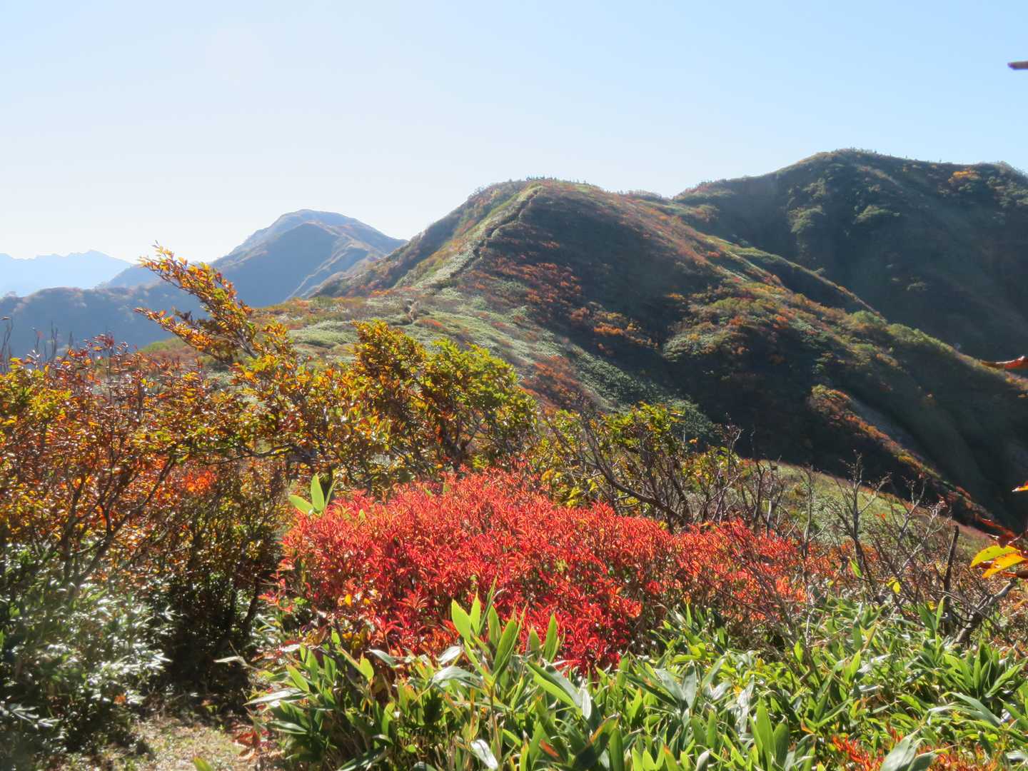 前僧ヶ岳から、パッチワークみたいな紅葉🍁が見れました♪