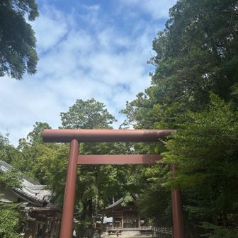 猿投神社⛩️
今日もありがとうございました🙏