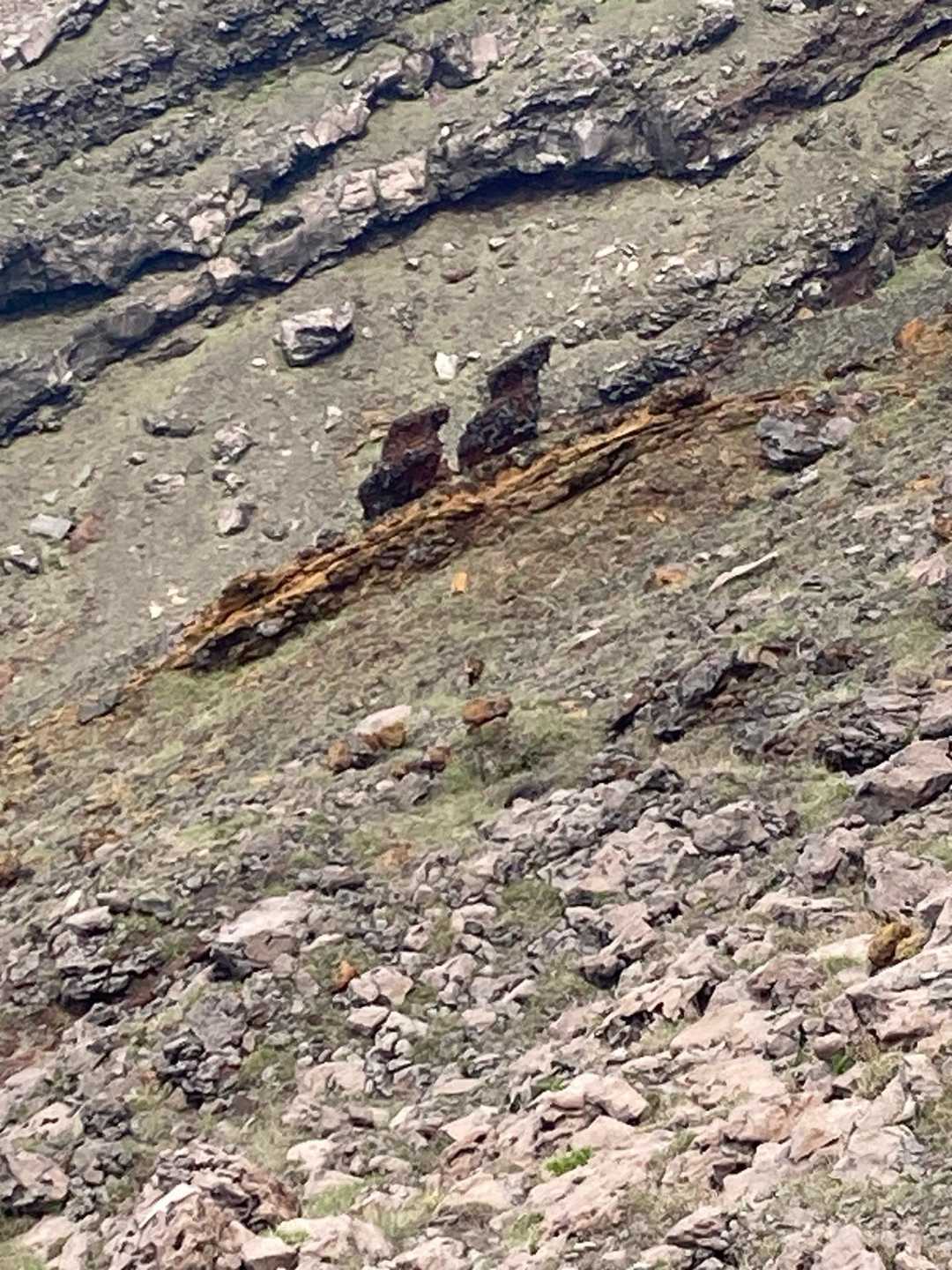 すずめ岩って…
なるほどねー🧐
イノシシ🐗にも見えるのはボクだけ？