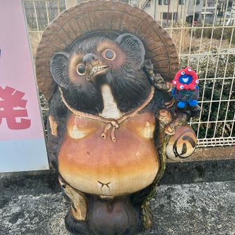 ホームの信楽たぬきさん😆