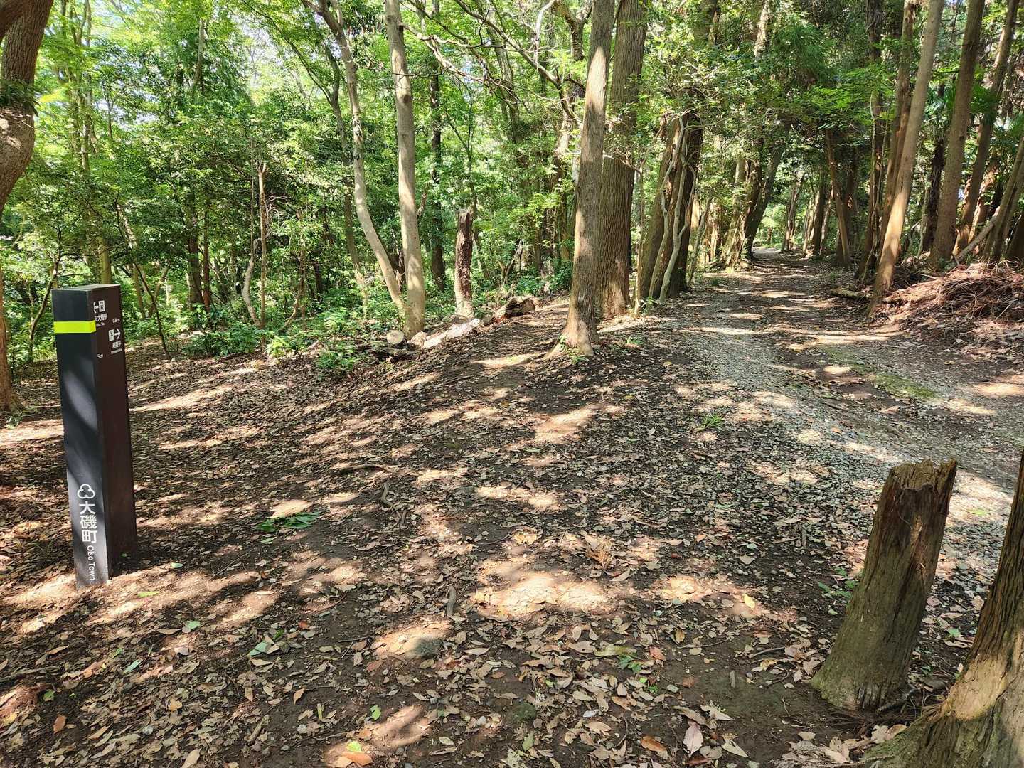 ちょっと開けた場所に出たと思ったら、ここまで車で来れるみたい😅