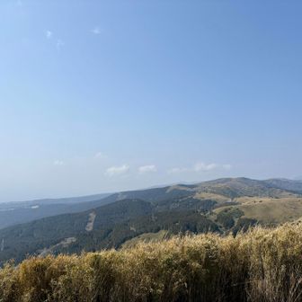 霞んで🗻は見えず‥