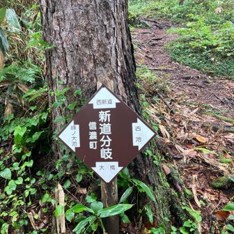 分岐まで来ました。
ここから少し登り坂になります。