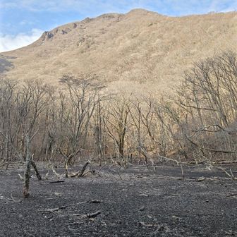 ソババッケに平治岳・・・