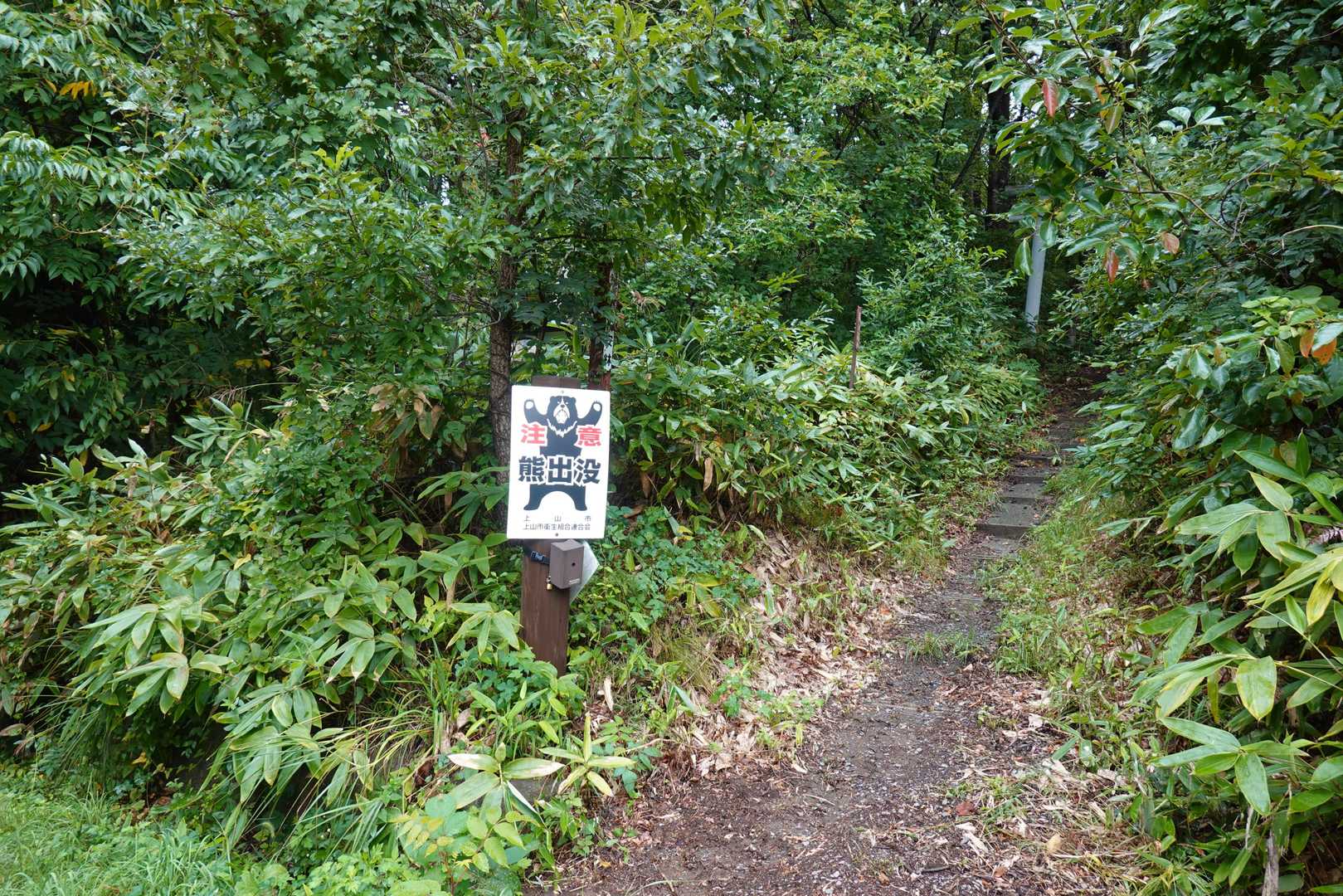 入り口にはやはり熊注意の標識がありました。
この日寒河江市に学校に熊が出た旨ニュースで流れてました。
最近市街地でも普通に出るようです