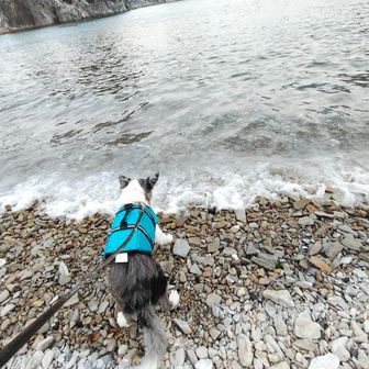 初！波🌊