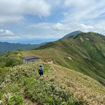 縦走してタヌキ山と坊主山方面へ