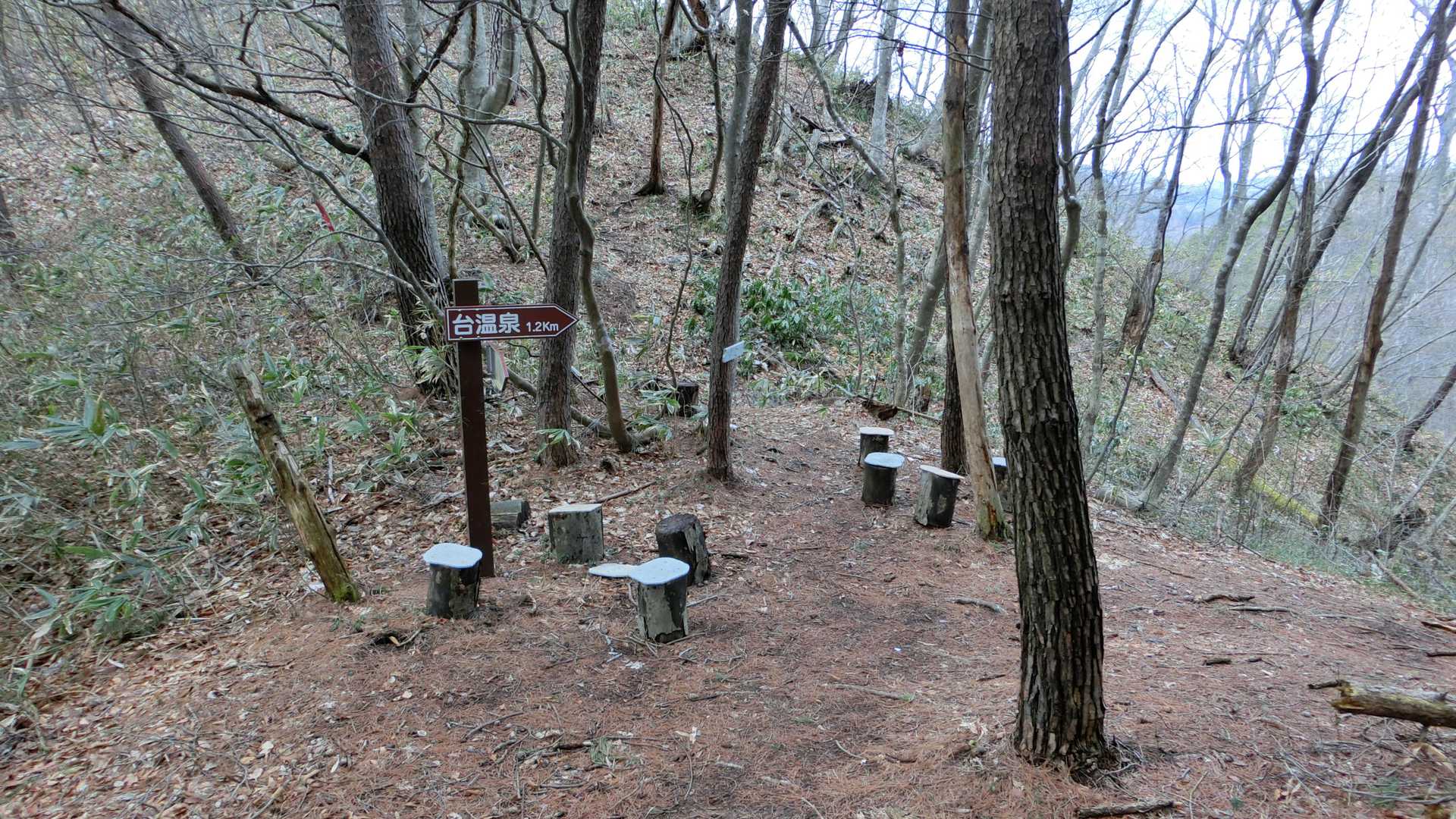 六郎山権現山の分岐
きょうもそっちには行かない
