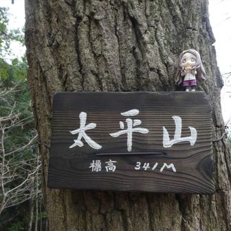 裏手に太平山山頂の山名看板