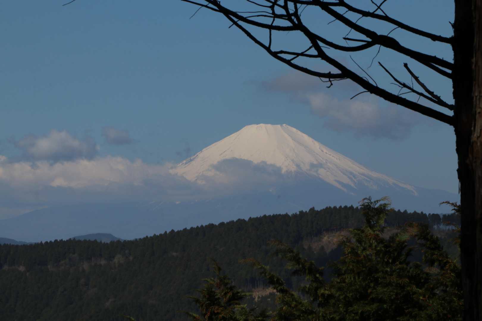 蓑毛バス停-蓑毛越-不動越-高取山-念仏山-善波山-善波峠 縦走コースの写真