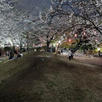 飛鳥山に繋がる細尾根⛰️
切れてる🍴
切れてな〜い😆