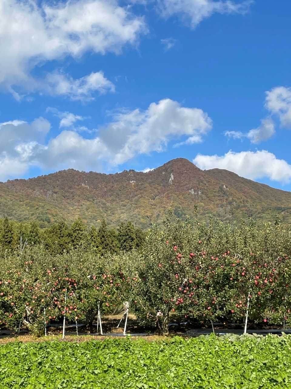 谷厳寺登山口-高社山 縦走コースの写真
