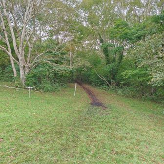 山頂へはこちらからです