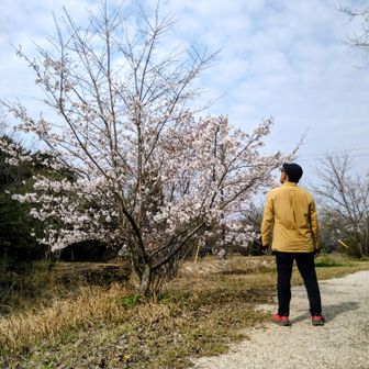 どこに向かってんのか　わからない