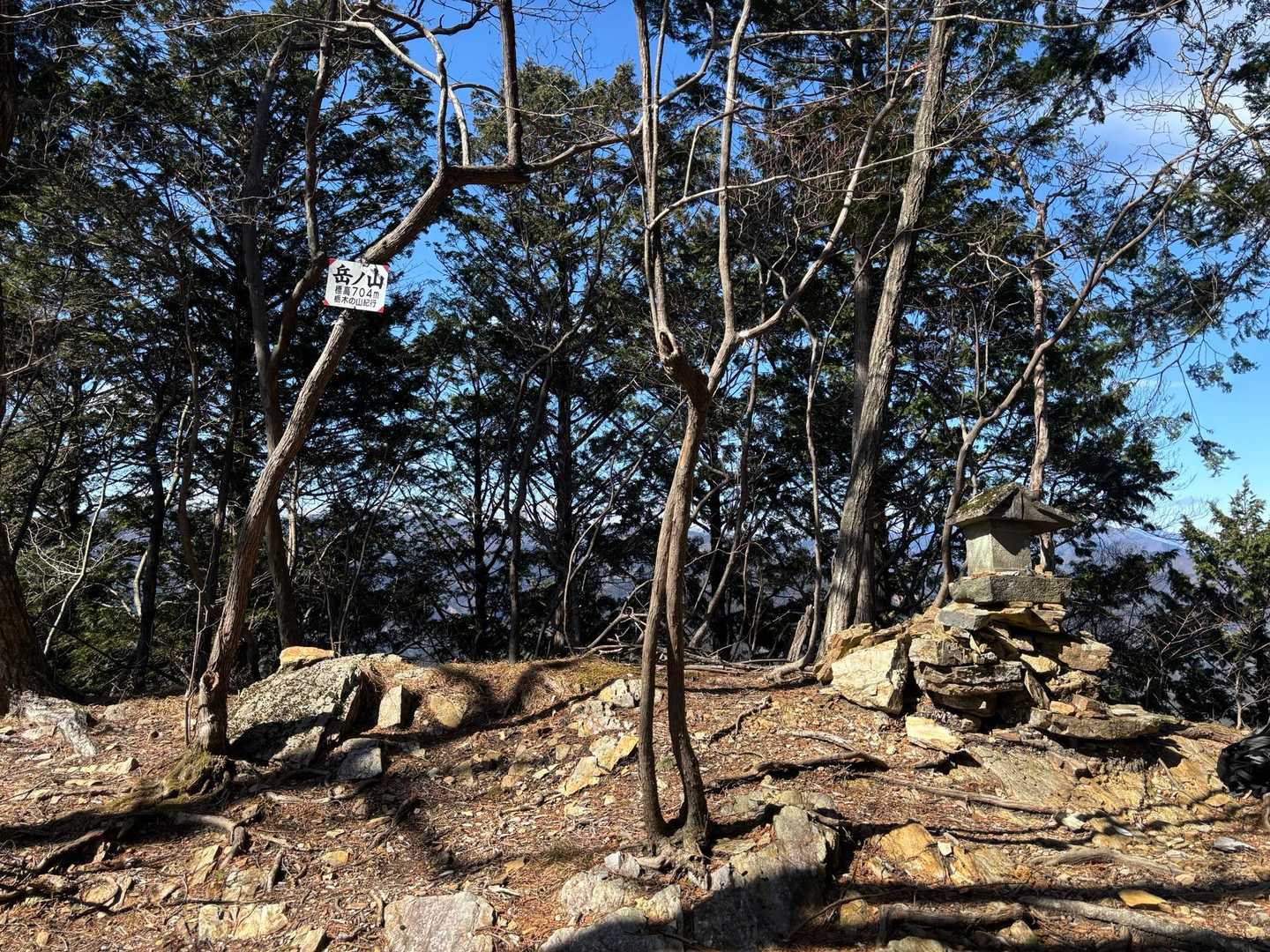 大鳥屋山-岳ノ山 周回コースの写真