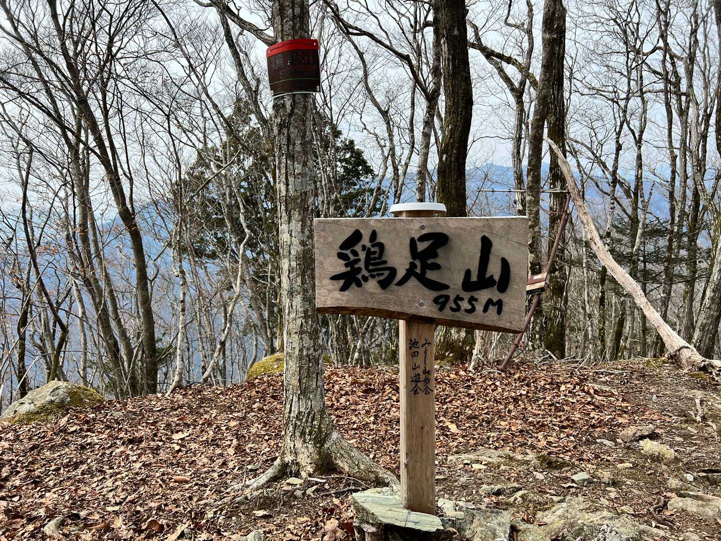 鶏足山（徳島県）の写真