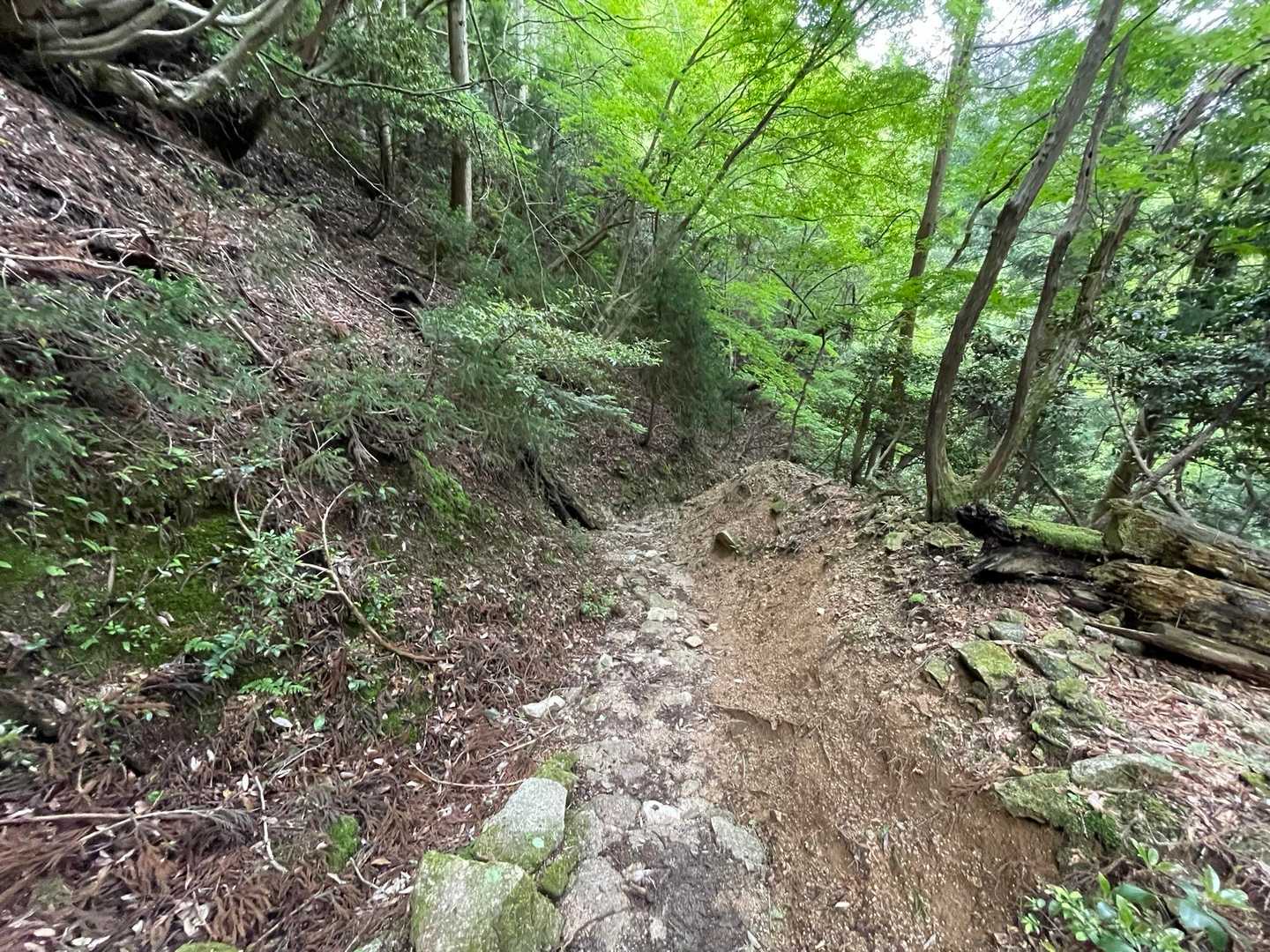 最後にカモシカ台の道で下山。
少しガレですが、歩きやすかったです。
景色が似てるからか、思ってたより、長く感じました。