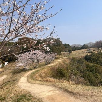 からのー
焼米が原へー。