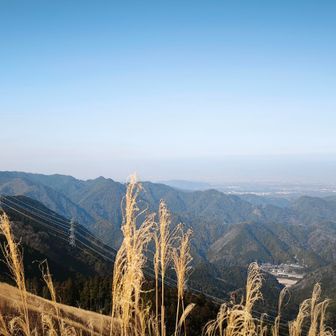 景色を眺めながら