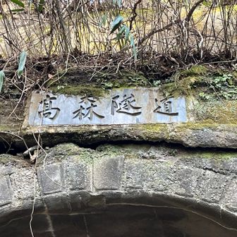 隧道好きは
2度目も興味津々💕