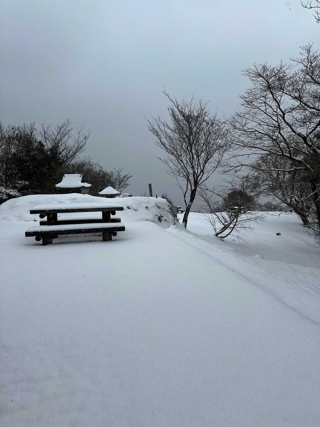 寒すぎてとっとと下山します