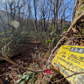 確かに迷いそうで怖い。
だけどこの日は安心✨️