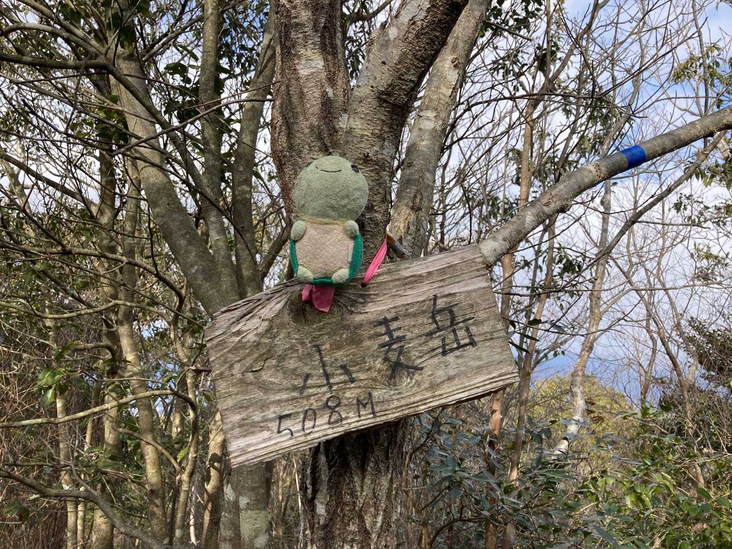小麦ヶ岳に到着🤗