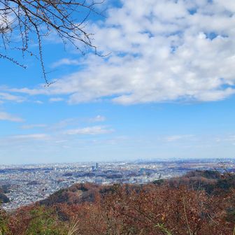 金比羅台
JR高尾駅方面へ下山して終了です