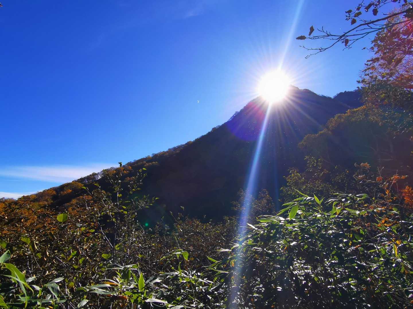 茶臼山-大倉乗越-妙高山 縦走コースの写真