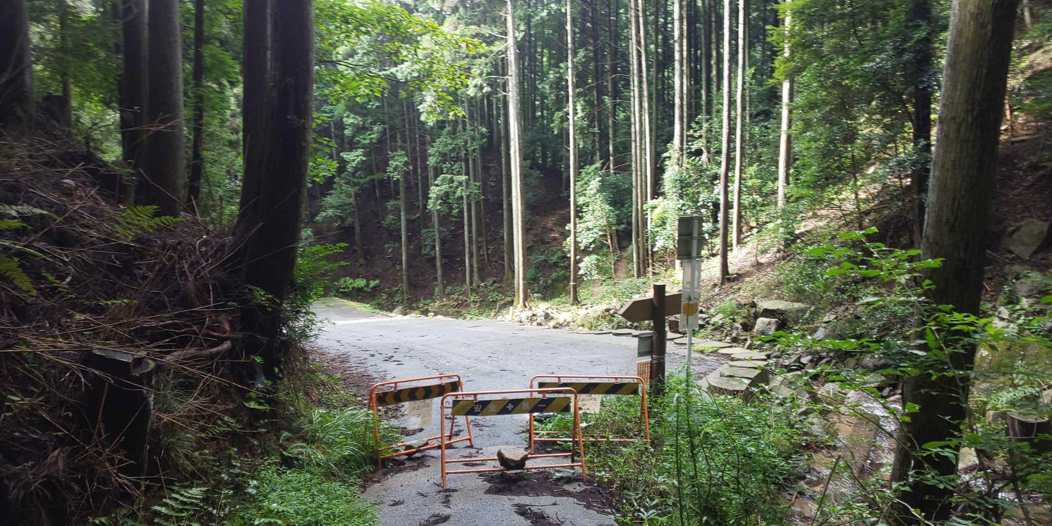 Re:平尾登山口。
あとは崩落地までロード歩いて終了😁
